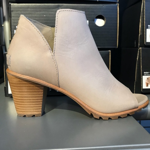 predator tango 18.4 sala